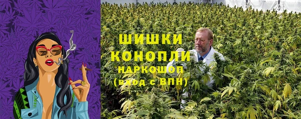 СК Алзамай