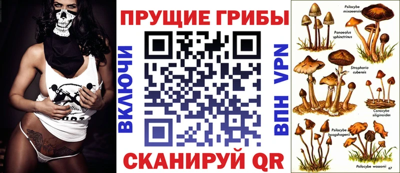 Псилоцибиновые грибы GOLDEN TEACHER  купить наркотики цена  Жигулёвск 